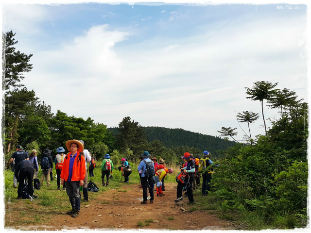 한라일보에코투어170520 (2).jpg