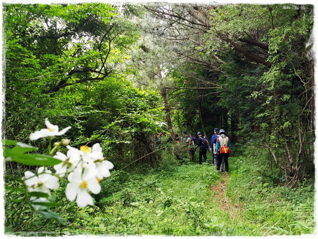 한라일보에코투어170520 (33).jpg