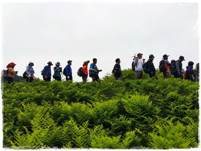 한라일보에코투어170520 (37).jpg